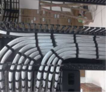 �W�j���������е����x�̓���